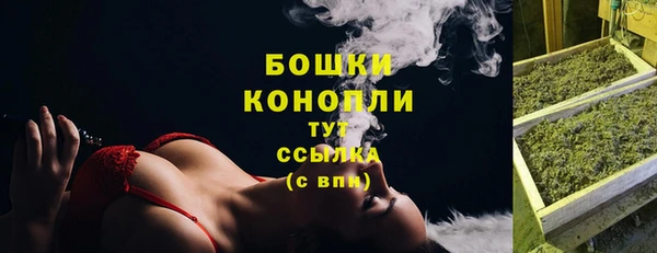 PSILOCYBIN Арсеньев