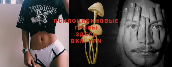 PSILOCYBIN Арсеньев