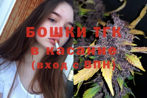 spice Аркадак